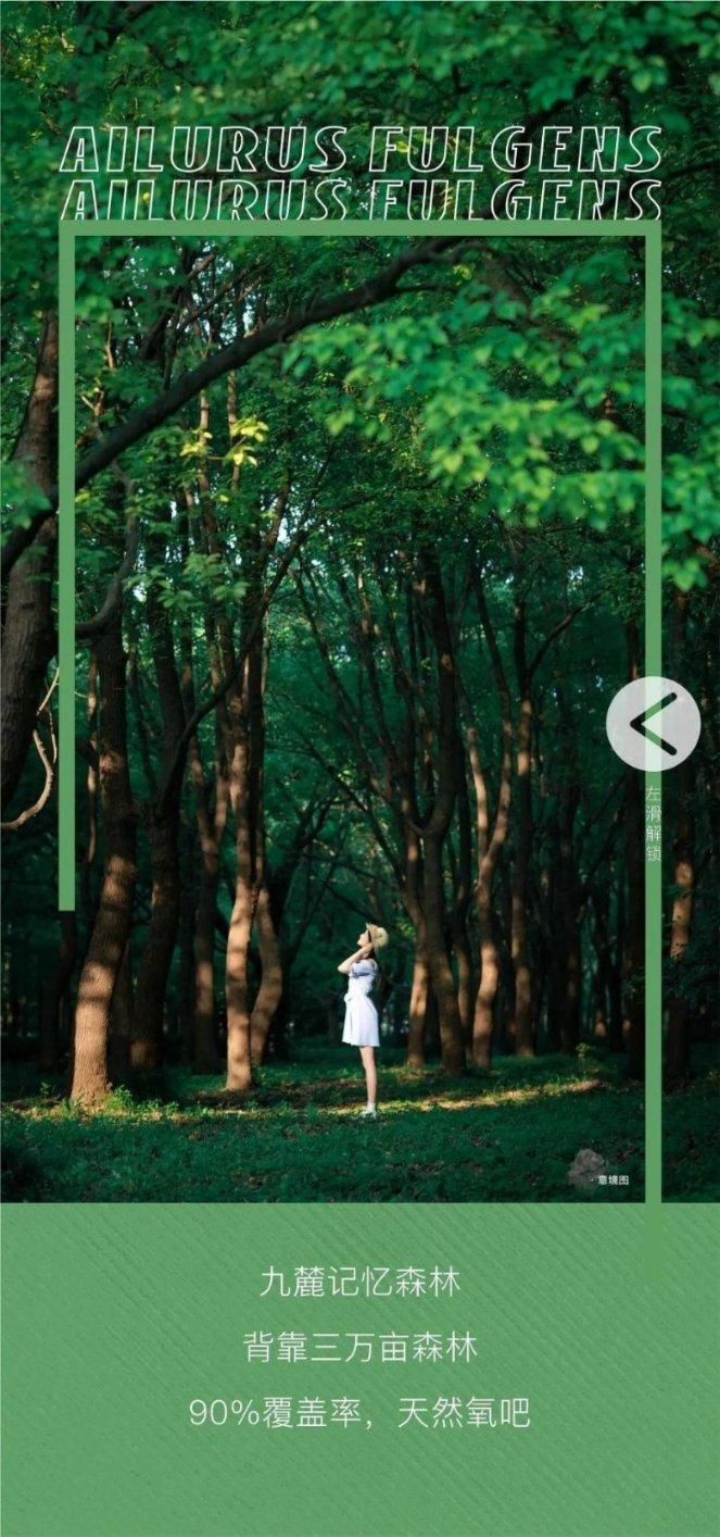 发现精彩资讯，尽在满16周岁打车可以人脸识别嘛？问答社区