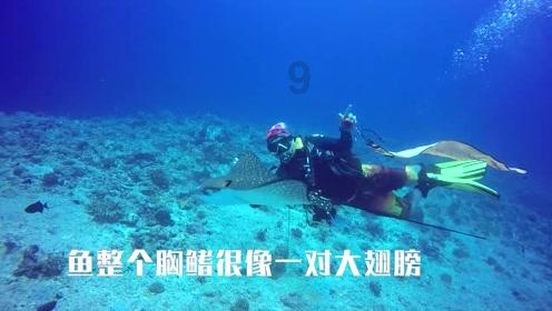 依兰“青春暖流行动”送温暖