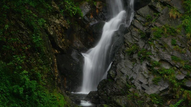 龙地逃生